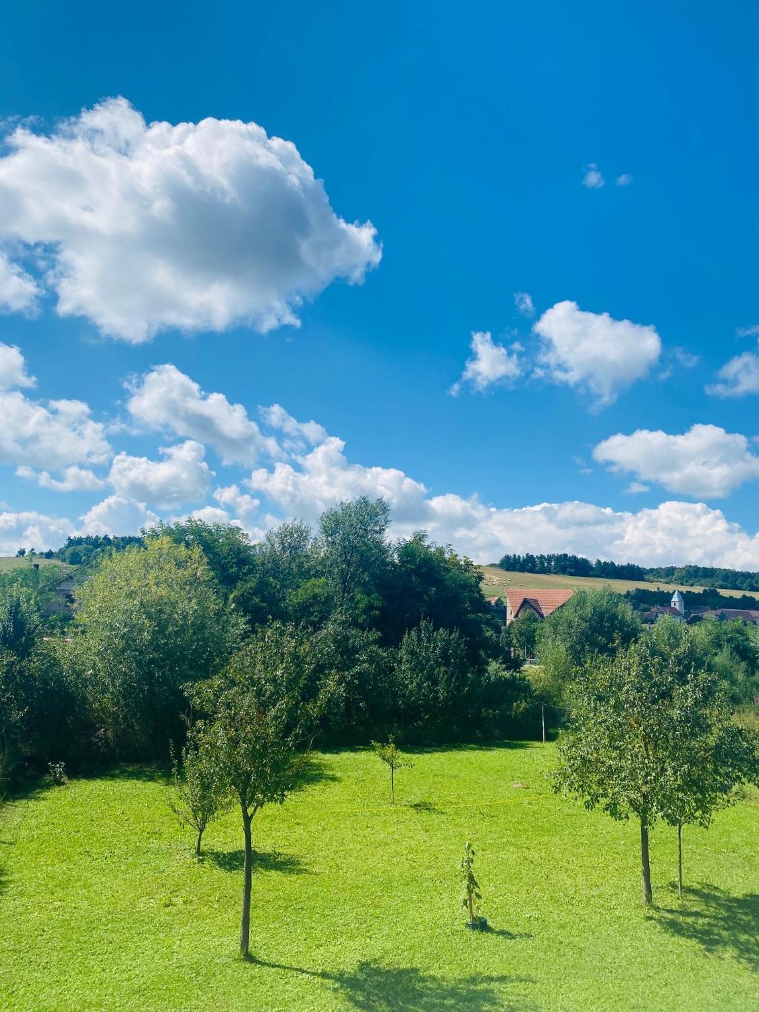 Hills * Hermannstadt